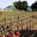Tenuta D'amore 3*