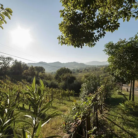 Tenuta D'amore San Mango Piemonte