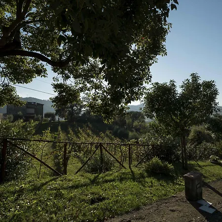 酒店 特纳塔达莫尔酒店 San Mango Piemonte