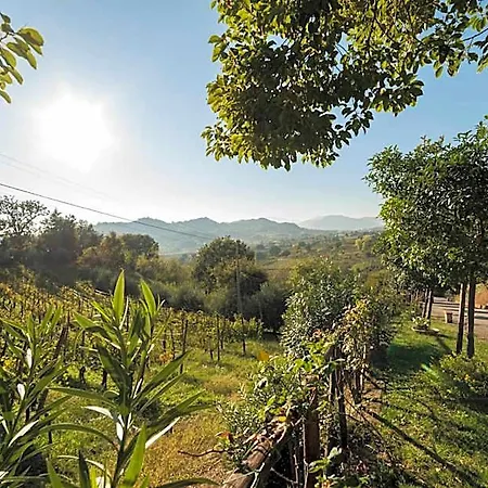 Tenuta D'amore Hotel 3*