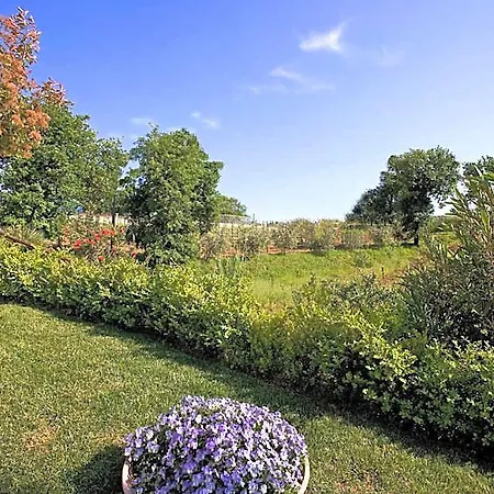 Tenuta D'amore Hotel San Mango Piemonte