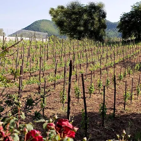 Tenuta D'amore 3*