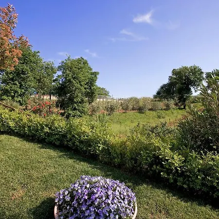 Otel Tenuta D'amore San Mango Piemonte